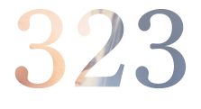 323